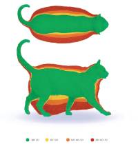 Schematische weergave van mate van overgewicht bij de kat